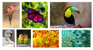 mothe nature