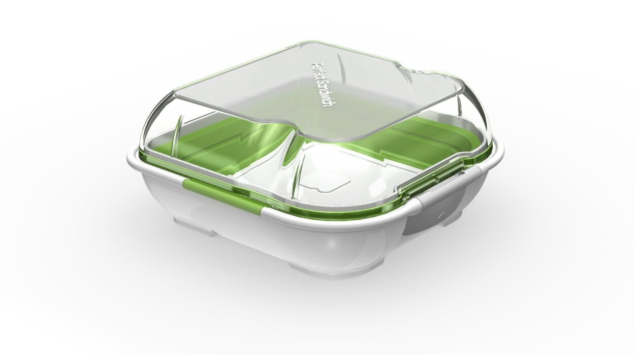 Lunchbox for Sandwiches