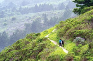 Bay area Walking trails