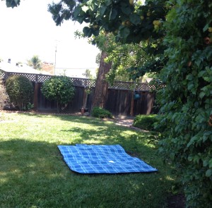 Picnic Blanket