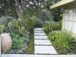 Drought Tolerant Green gardens