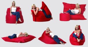 Omni beanbag chair
