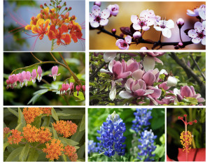 Spring, Here It Comes!