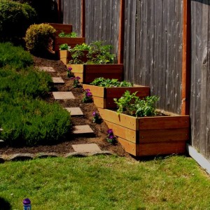 vegetable garden ideas