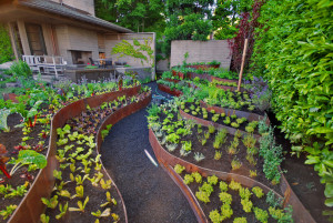 vegetable garden ideas