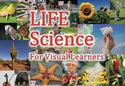 Life Science For Visual Learners