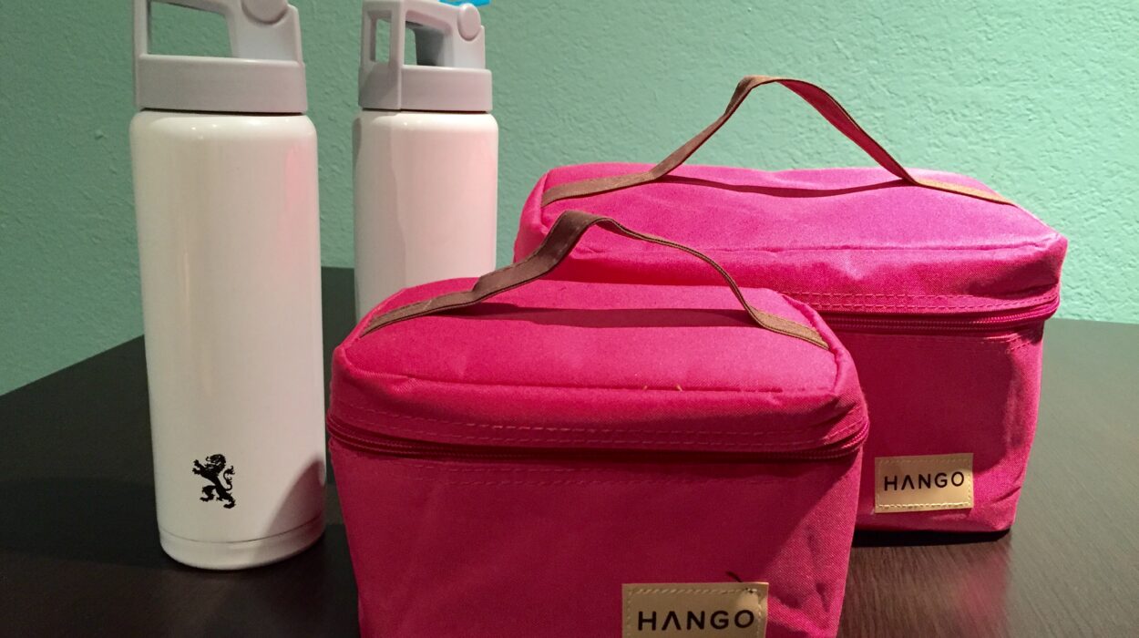 Insulated lunch bag water bottle