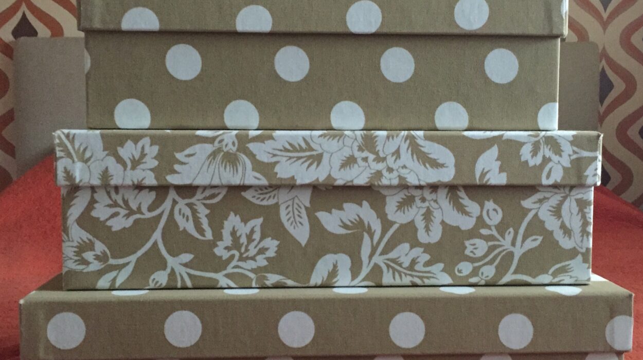 Ultimate Storage Boxes