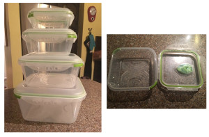 Food Storage Containers