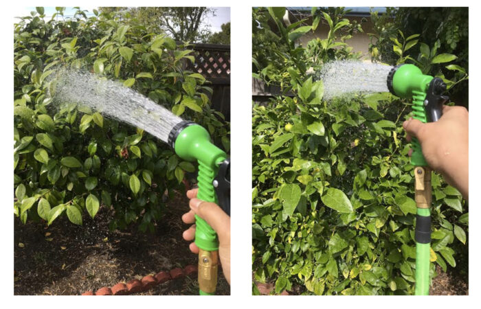 Pinocchi Hose: The Hose That Grows
