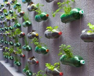 unique vegetable gardens
