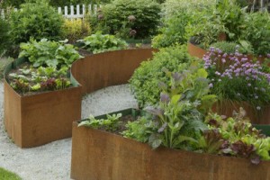 vegetable garden ideas