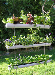 hanging herb garden