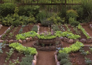 Backyard Vegetable Garden