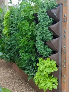 vertical herb gardens